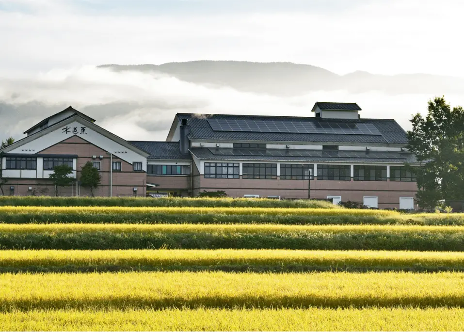 shochikubai sake brewery